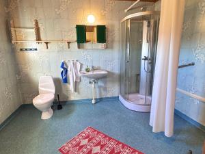 a bathroom with a toilet and a shower and a sink at Hus Stora Hultet in Hultsfred +52 photos