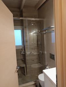 a bathroom with a glass shower with a toilet at VueSurMer Amarynthos in Amarynthos