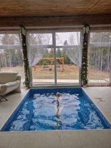 a person swimming in a swimming pool in a house at Casutele Anei- Aframe&Spa in Rişca