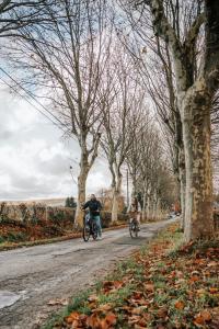 two people riding bikes down a road with trees at Les Doms d'Alfred - AKWADOM in Ten Eiken