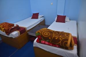 two twin beds in a room with blue walls at 3 Sixty House in Bodh Gaya