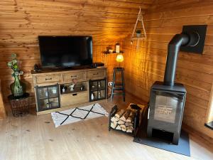 a living room with a woodburning stove and a television at Gîte Libre’Air in Redu