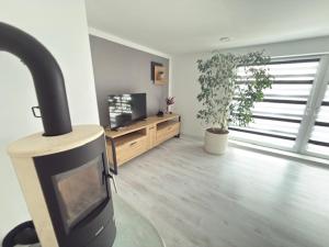 ein Wohnzimmer mit Kamin und Fernseher in der Unterkunft Appartment Frieda in Raduhn