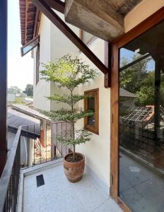 a tree in a pot sitting on a balcony at Sum Homestay Hue - Gần cầu Nguyễn Hoàng in Hue