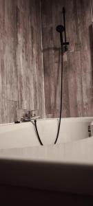 a bath tub with a shower in a bathroom at Résidence Bayard in Dinant
