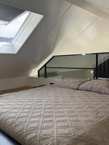 a bedroom with a large bed with a skylight at Cozy & Modern Tiny House in Velserbroek 