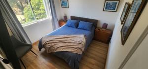 a bedroom with a bed with blue pillows and a window at Departamento en Playa Las Cadenas in Algarrobo