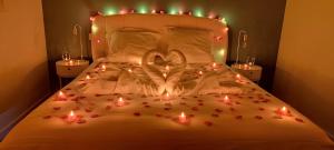 a bedroom with a bed with lights on it at Île Dumet - Appt T2 cocooning - 2 à 4 pers. - Piscine & Spa in La Turballe