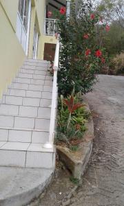 a set of stairs in front of a house with flowers at SOLEIL DES CARAÏBES in Pointe-Noire