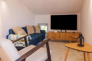 a living room with a blue couch and a flat screen tv at Apt Le Frene in Tourrettes-sur-Loup