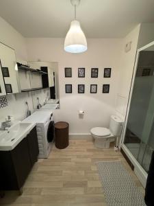 a bathroom with a toilet and a sink and a shower at Appartement T2 à Chelles - Paris, CDG & Disneyland à proximité, parking privé in Chelles +20 photos