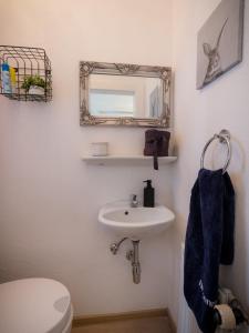 a bathroom with a sink and a mirror and a toilet at Frankfurter Haus in Zell an der Mosel +8 photos