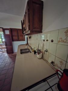 a kitchen with a sink and a counter top at Casa en El Rodeo in El Rodeo