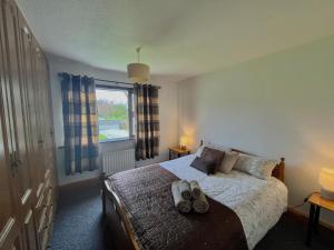 a bedroom with a bed with two pairs of shoes on it at Beautiful Beach Side Bungalow in Galway