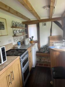 a kitchen with a stove and a counter top at Secluded 17th Century converted barn in Midhurst
