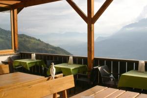 restauracja ze stołami i krzesłami oraz ptakiem siedzącym na ławce w obiekcie Panoramapension Etschblick w mieście Meltina