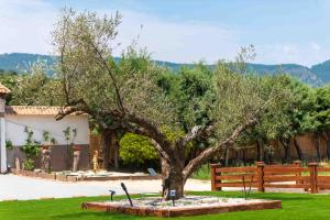 a tree in a garden in front of a fence at Finca Avellaneda in Navahonda
