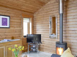 a living room with a fireplace and a television at Seascape in Staffin