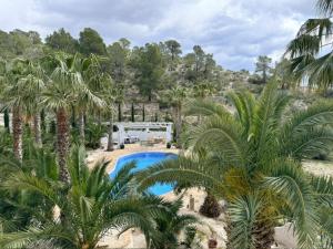 a resort with a rv and a swimming pool and palm trees at Finca las Estrellas in Relleu
