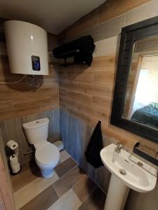 a bathroom with a toilet and a sink at The Nest - Secluded Cabin with Panoramic Views in Gurteenulla