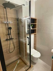 a shower in a bathroom with a toilet at Somni Apartamente in Chinteni