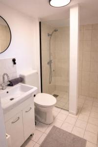 a bathroom with a shower and a toilet and a sink at Ferienhaus Wacholder in Mechernich +5 photos