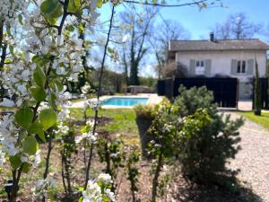a garden with white flowers and a house and a pool at Le Clos des Berges de l'Ain in Charnoz