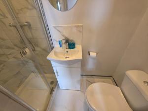 a bathroom with a shower and a toilet and a sink at The Brigstock Nest in Thornton Heath +2 photos
