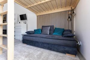 a room with a couch with blue pillows on it at Apartmán Denisa in Rokytnice nad Jizerou