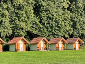 a row of cottages in a field with trees at Kemp Koruna in Zlatá Koruna