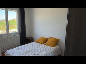 a bedroom with a bed with two pillows and a window at Vacation Home in Drôme in Charols
