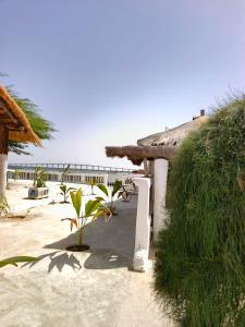 a house on the beach with a plant at A La Teranga in Poundiougne