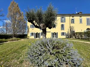 a tree in front of a large building at Santa Caterina 1604 Suites in Anzola dell'Emilia