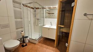 a bathroom with a shower and a toilet and a sink at Meerblick 9 - Großenbrode in Grossenbrode
