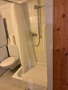 a bathroom with a shower and a toilet at Le Petit Ruisseau in Ollon
