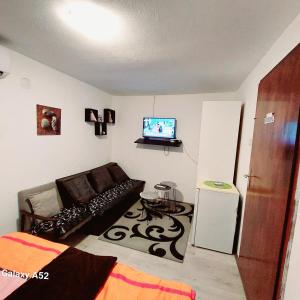 a living room with a couch and a flat screen tv at Green in Negotin