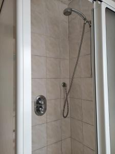 a shower with a shower head in a bathroom at Haus Amsel am Heeder See in Heede +18 photos