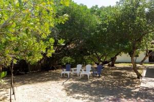 a group of blue and white chairs under trees at Casa bela in Cartagena de Indias
