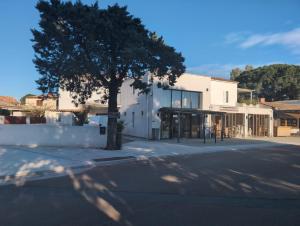 a tree in front of a white building at clemente en aparté nord in Lecci