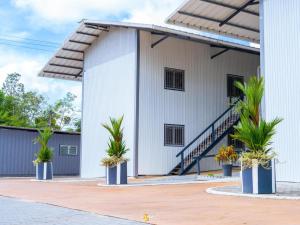 a white building with palm trees in front of it at Le Clos de Ébéniers in Saint-Laurent du Maroni