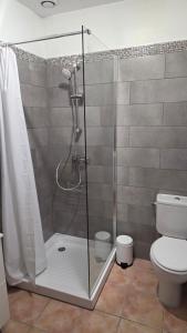 a shower with a glass door next to a toilet at Studios Terrasses du Rempart in Avignon +28 photos