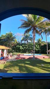 a view of a palm tree from a window at Sitio Serra e Mar in Saquarema