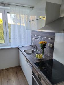 a kitchen with a sink and a vase of flowers on the counter at Ferienwohnung Birkenhügel in Schörfling