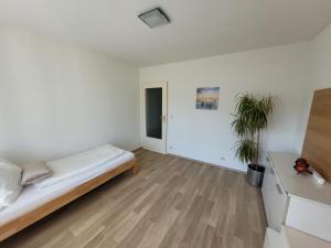 a white room with a bed and a plant at Ferienwohnung Birkenhügel in Schörfling