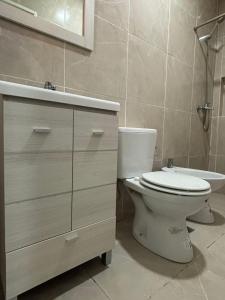 a bathroom with a toilet and a sink at Añelo Garden Inn in Añelo
