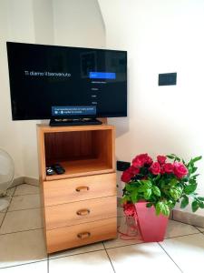 a tv sitting on top of a wooden stand next to a plant at La Finestra sui Tigli in Mandello del Lario