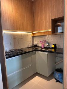 a kitchen with a sink and a stove top oven at Flat em Brasilia - Parque do Sudoeste in Brasília