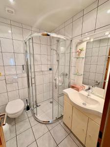 a bathroom with a shower and a toilet and a sink at Ferienwohnung Theisen in Bernkastel-Kues +23 photos