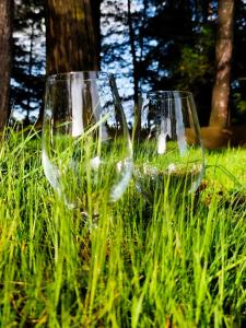 two empty wine glasses sitting in the grass at Qenqo's House in Cusco