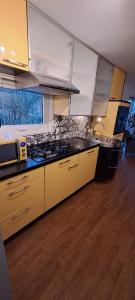 a kitchen with a stove and a counter top at Comfortable Chalet in Berkhout